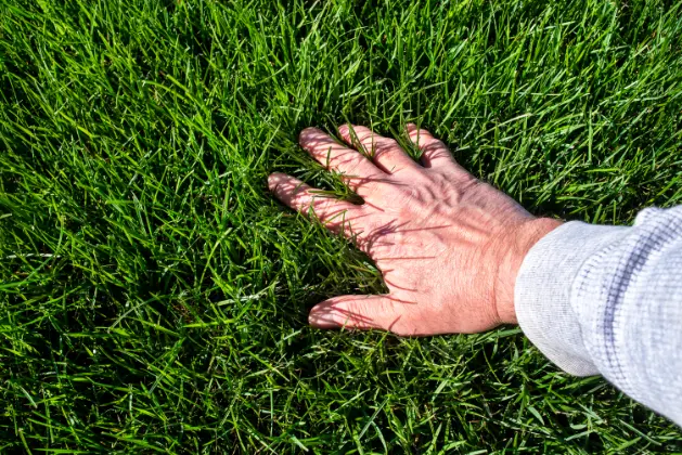 Aeration