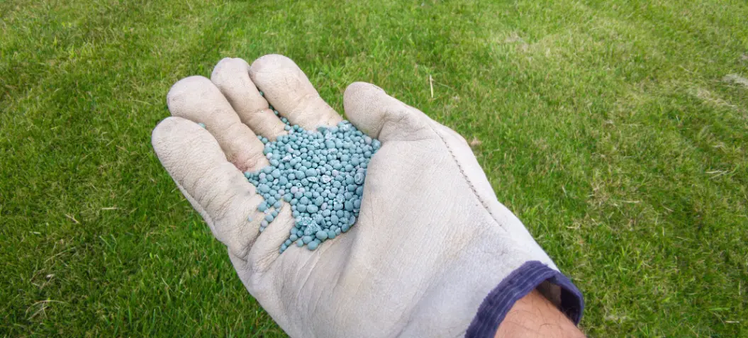 Fertilizer