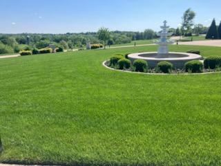 Lawn