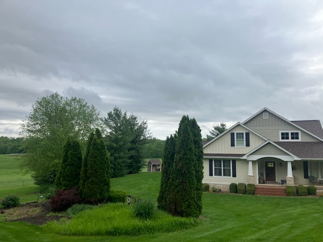 House green lawn