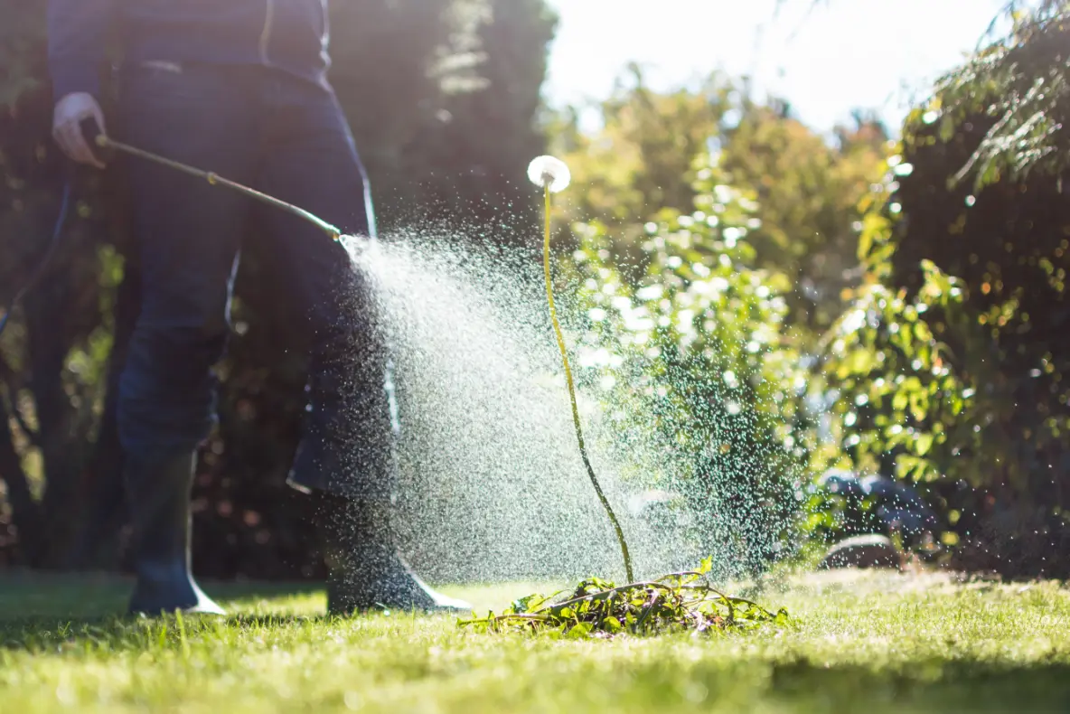 Weed control