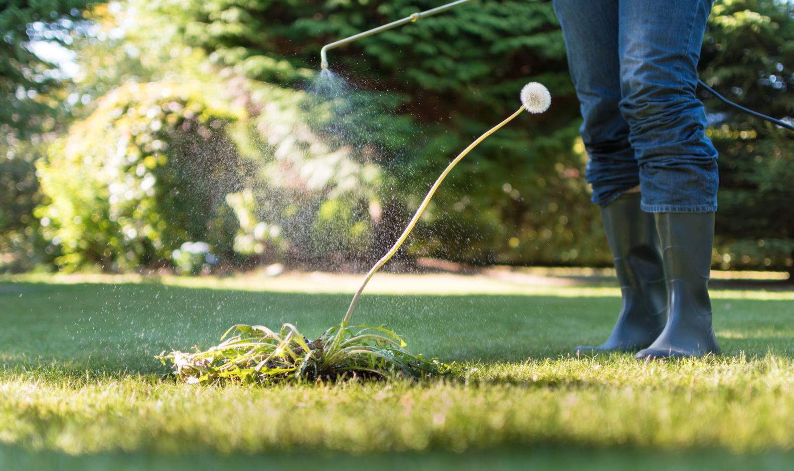 Weed Control