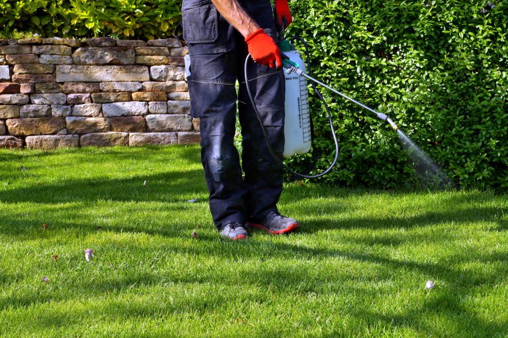 Weed control